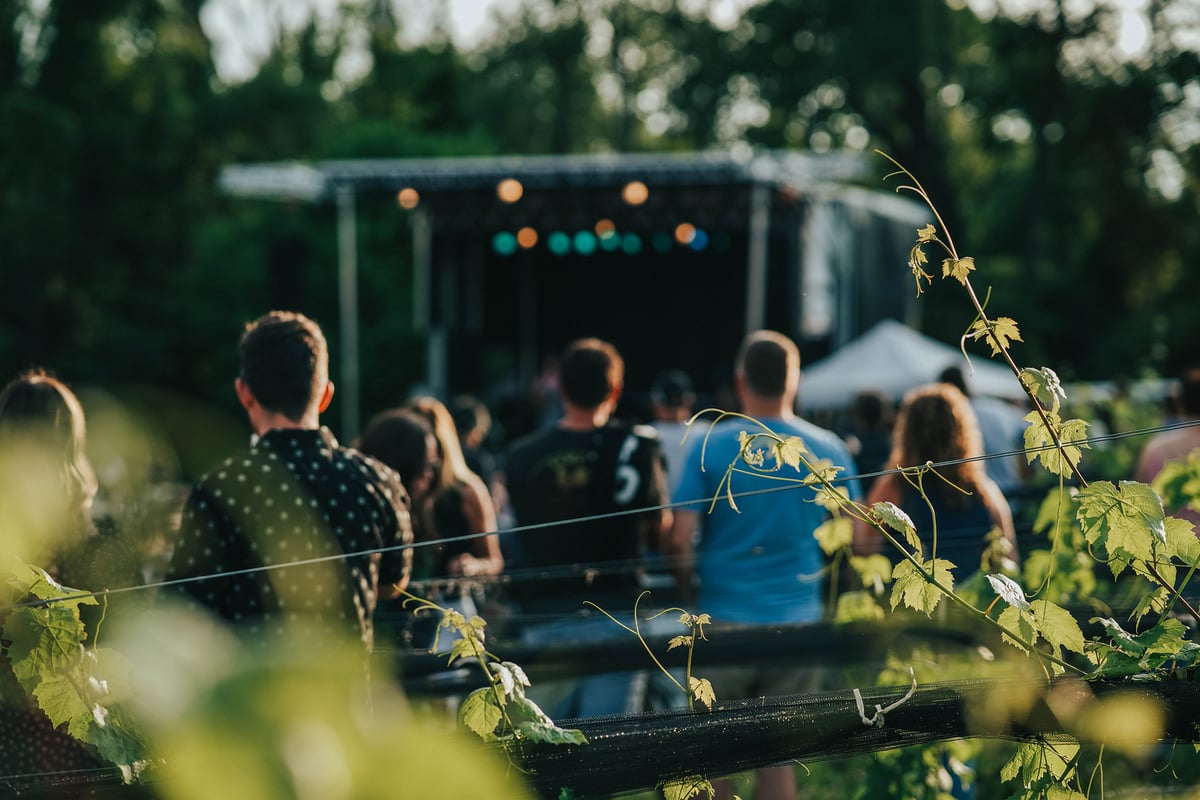 Concerts in the Vineyard