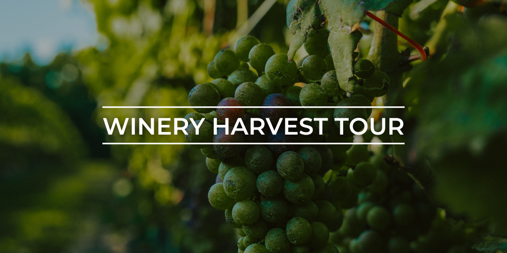 Flybook Banner Winery Harvest Tour