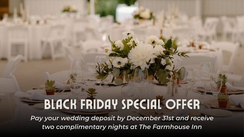 Website Black Friday 2025 - Wedding